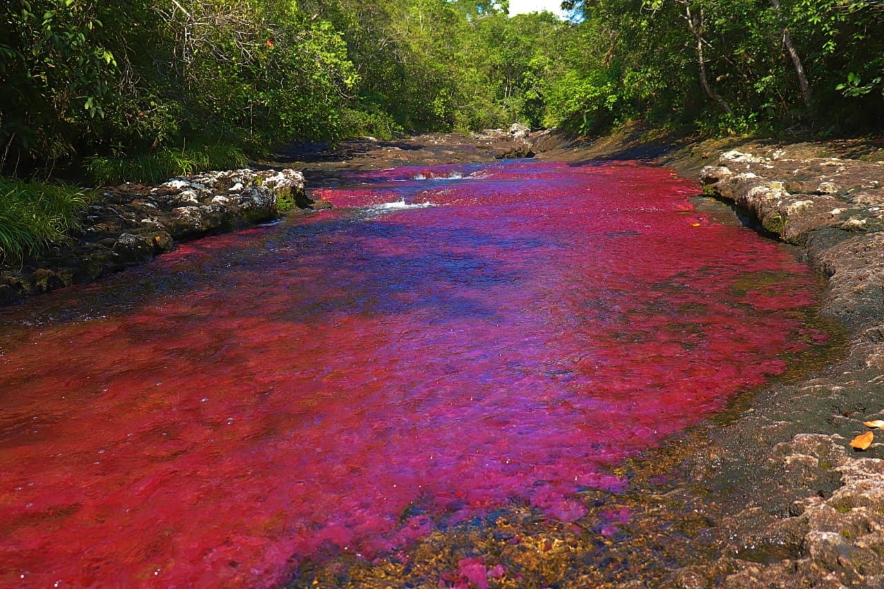 CAÑO CRISTALES