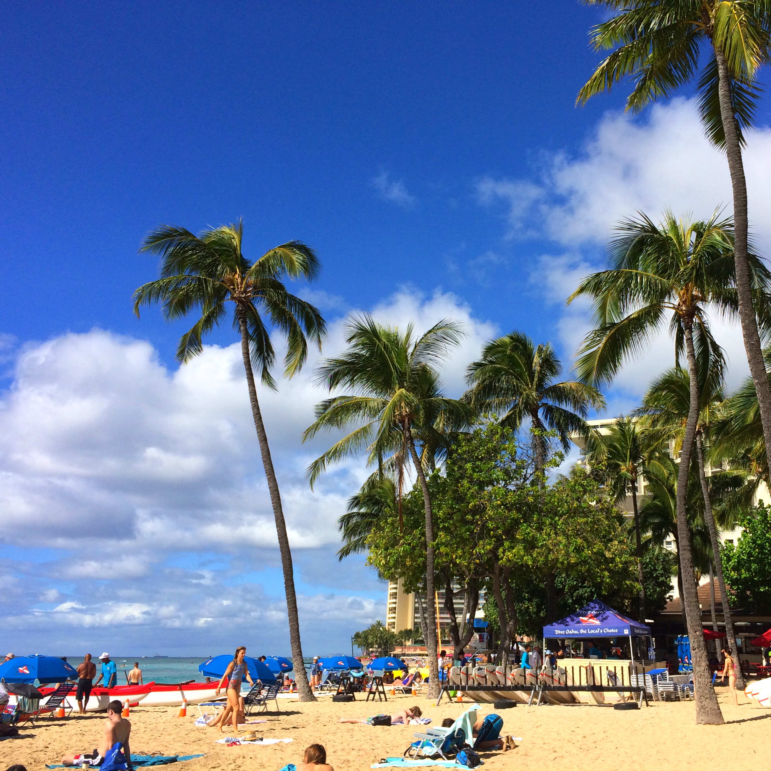 palmeras-en-la-playa-contra-el-cielo-azul