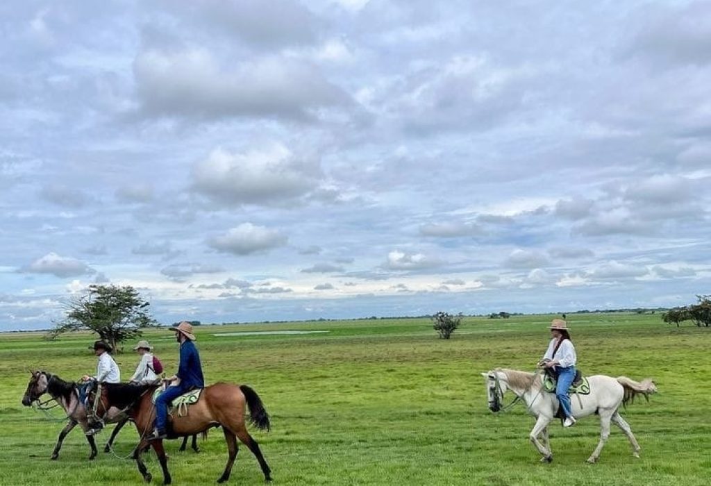 DIA LLANERO CABALGATA